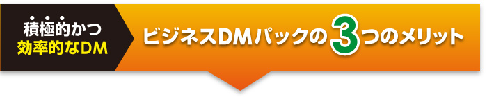 �ӥ��ͥ�DM�ѥå���3�ĤΥ��å�